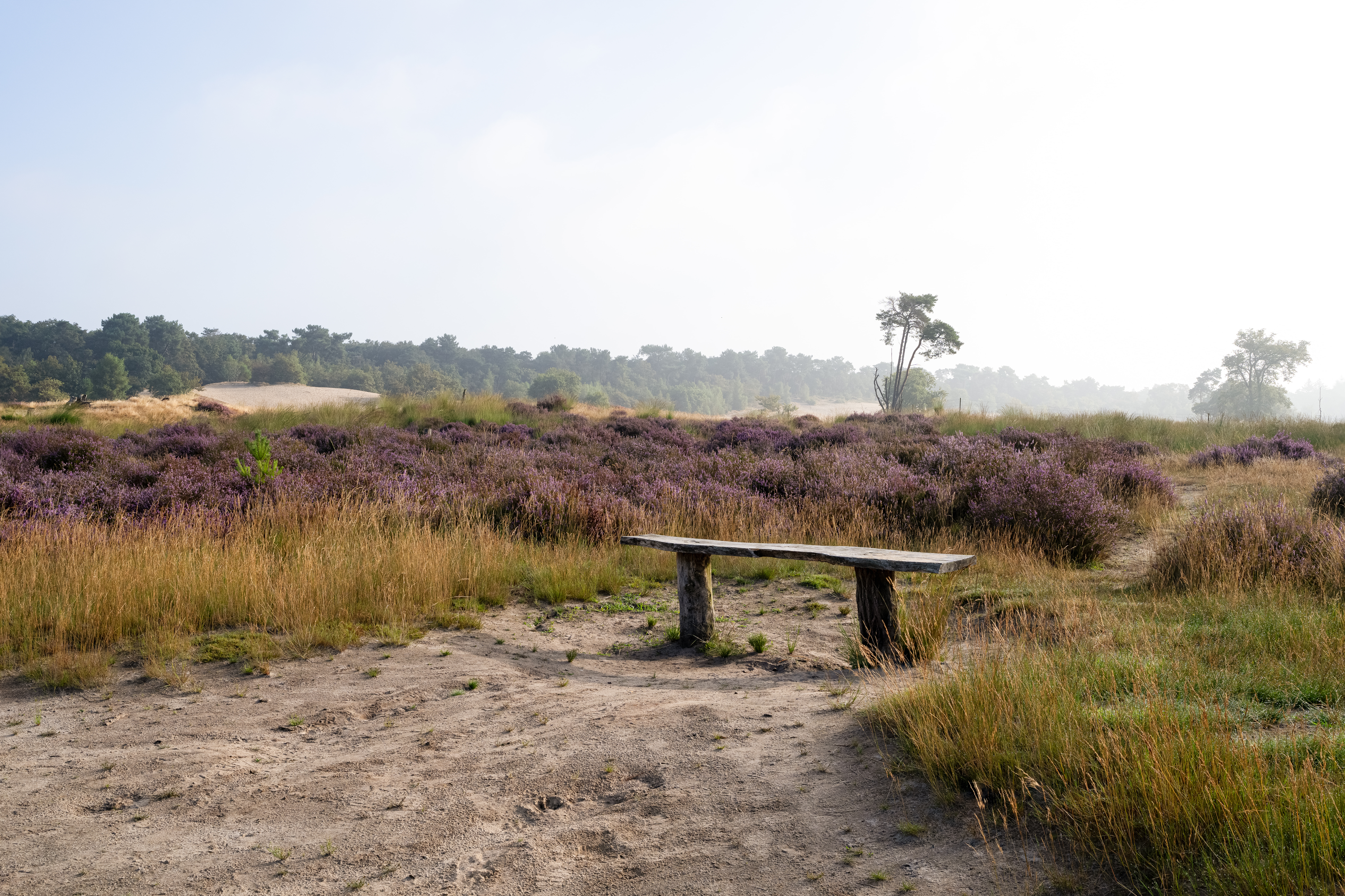 Mbjp Rbtdelangstraat Heiden33