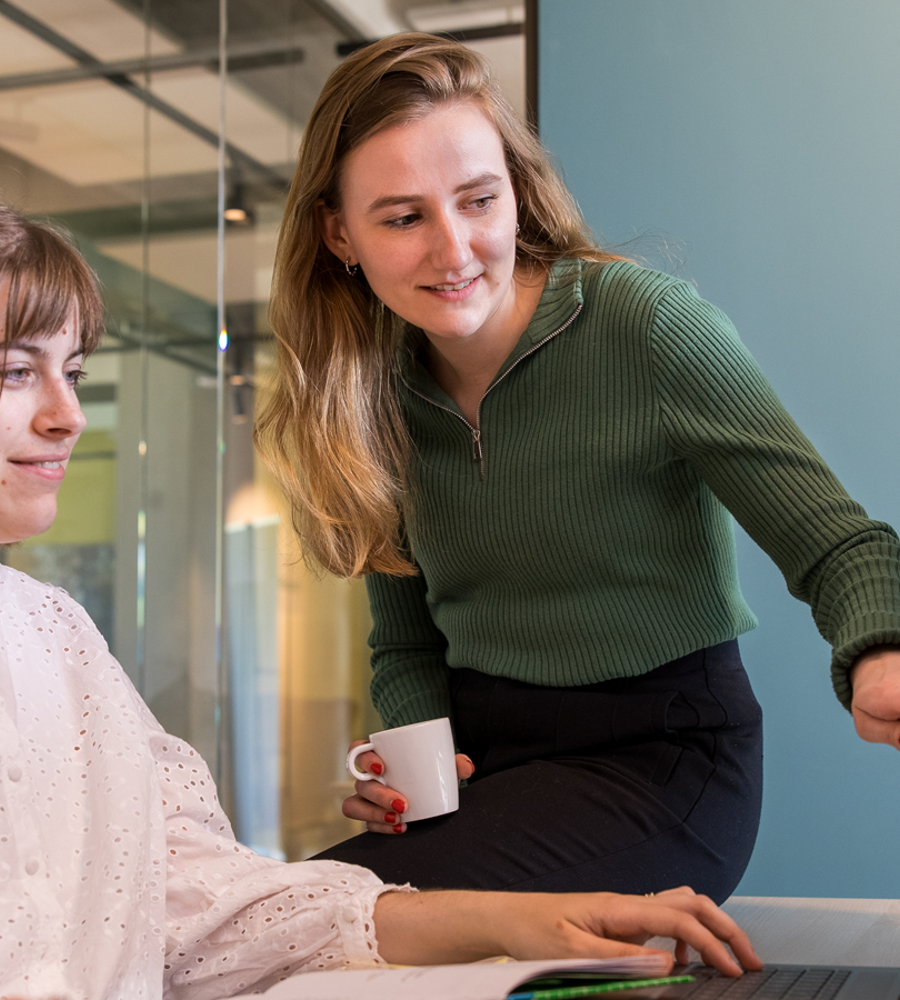 Overzicht Liggend Roer